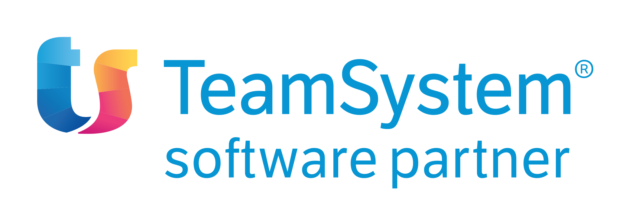 TeamSystem software partner